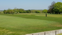 Gallery image 7